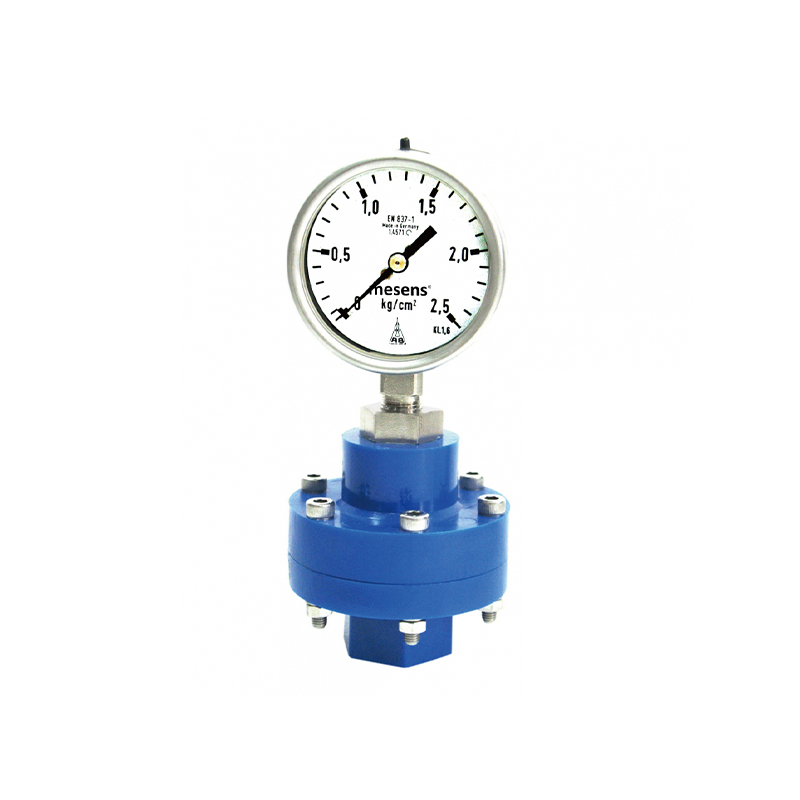 Plastic Cased Diaphragm Pressure Gauge PDT132